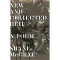 New and Collected Hell: A Poem