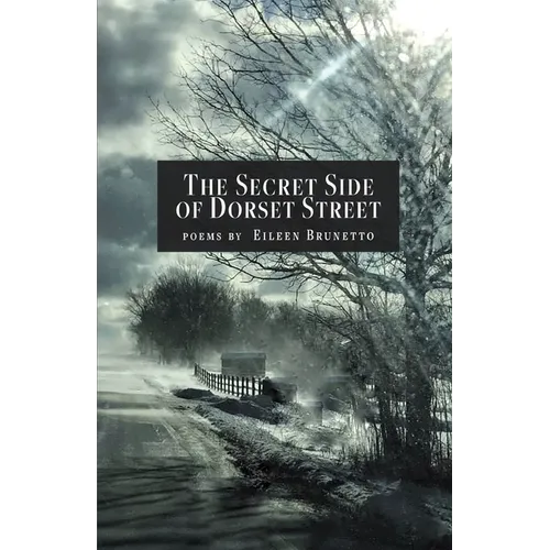 The Secret Side of Dorset Street