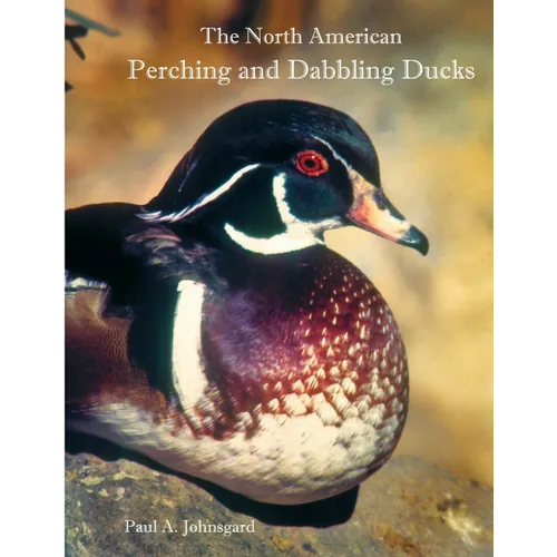 The North American Perching and Dabbling Ducks