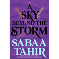 A Sky Beyond the Storm