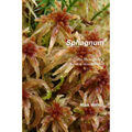 Sphagnum