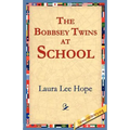 The Bobbsey Twins at School