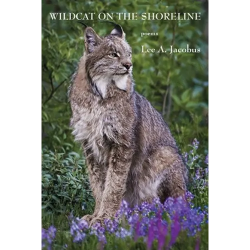 Wildcat on the Shoreline