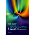 Undergraduate Analysis: A Working Textbook