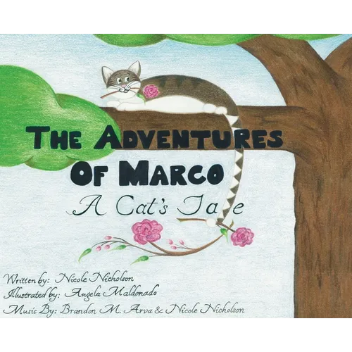 The Adventures of Marco