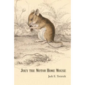 Joey the Motor Home Mouse