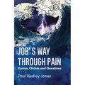 Job's Way Through Pain: Karma, Clichés and Questions