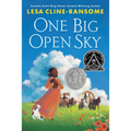 One Big Open Sky