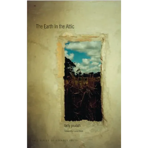 Earth in the Attic