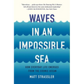 Waves in an Impossible Sea: How Everyday Life Emerges from the Cosmic Ocean