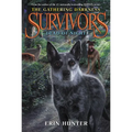 Survivors: The Gathering Darkness #2: Dead of Night