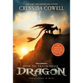 How to Train Your Dragon