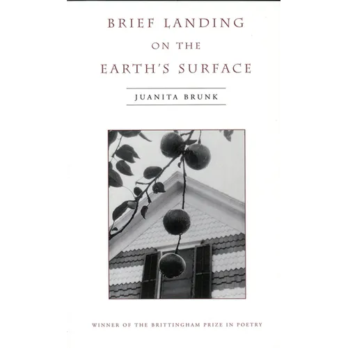 Brief Landing on the Earth's Surface: Volume 1996