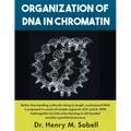 Organization of DNA in Chromatin