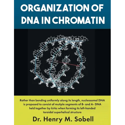 Organization of DNA in Chromatin