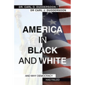 America in Black and White: And Why Democracy Has Failed