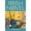 The Irish Novel: 1960-2010