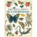 Maria Sibylla Merian's Metamorphosis: One Woman's Discovery of the Transformation of Butterflies and Insects