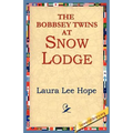 The Bobbsey Twins at Snow Lodge