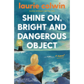 Shine On, Bright and Dangerous Object