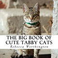 The Big Book of Cute Tabby Cats: A text-free book for Seniors and Alzheimer's patients
