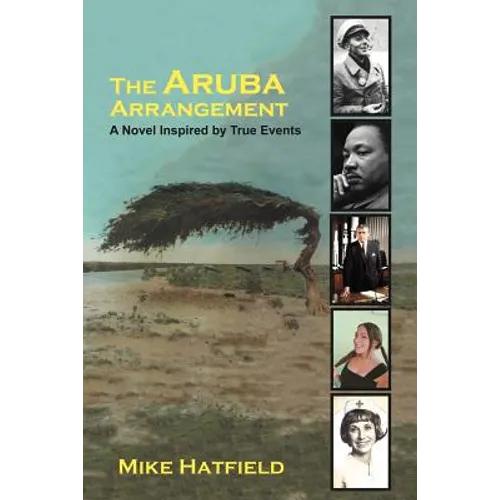 The Aruba Arrangement: A Novel Inspired by True Events.