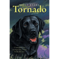 Tornado