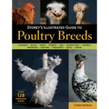 Storey's Illustrated Guide to Poultry Breeds: Chickens, Ducks, Geese, Turkeys, Emus, Guinea Fowl, Ostriches, Partridges, Peafowl, Pheasants, Quails, S