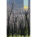 Climate Change in World Politics