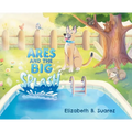 Ares and the Big Splash