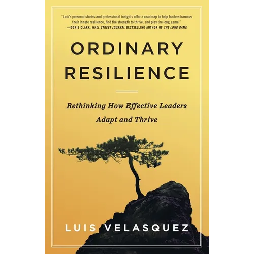 Ordinary Resilience: Rethinking How Effective Leaders Adapt and Thrive