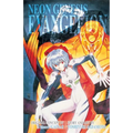 Neon Genesis Evangelion 3-In-1 Edition, Vol. 2: Includes Vols. 4, 5 & 6