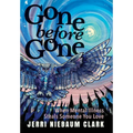 Gone Before Gone: When Mental Illness Steals Someone You Love