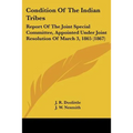 Condition Of The Indian Tribes: Report Of The Joint Special Committee, Appointed Under Joint Resolution Of March 3, 1865 (1867)