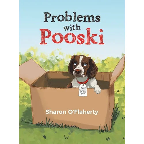 Problems with Pooski