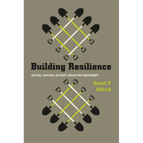 Building Resilience: Social Capital in Post-Disaster Recovery
