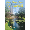 Stories, Poems, and Secrets Beneath the Waterfall