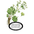 First Studies of Plant Life