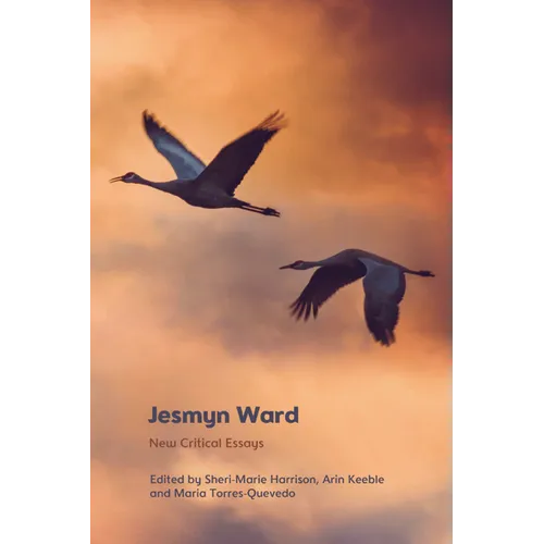 Jesmyn Ward: New Critical Essays