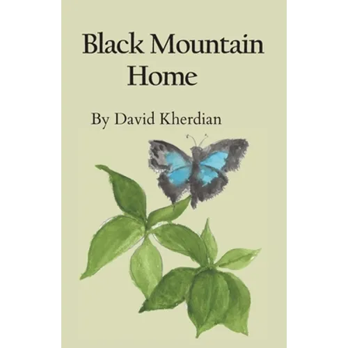 Black Mountain Home