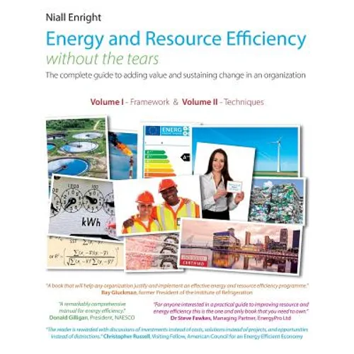 Energy and Resource Efficiency without the tears: The complete guide to to adding value and sustaining change in an organization.
