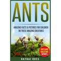 Ants: Amazing Facts & Pictures for Children on These Amazing Creatures