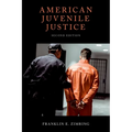 American Juvenile Justice