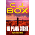 In Plain Sight