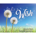 Wish