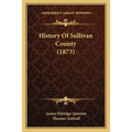 History Of Sullivan County (1873)