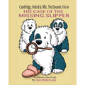 Cambridge, Oxford & Ollie...The Dynamic Trio in The Case of the Missing Slipper