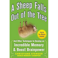 A Sheep Falls Out of the Tree: And Other Techniques to Develop an Incredible Memory and Boost Brainpower