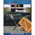 Noam Catch an Easter Bunny