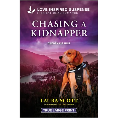 Chasing a Kidnapper